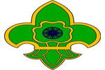 scout